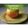 Саженцы яблони Куйбышевское -  5 шт.