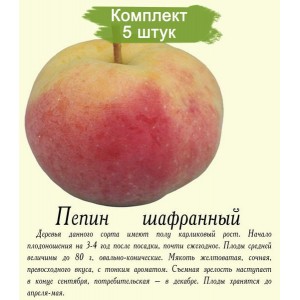 Саженцы яблони Пепин шафранный -  5 шт.