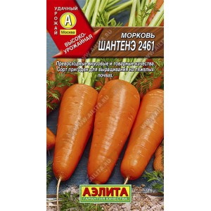 Семена моркови (драже) Шантенэ 2461 
